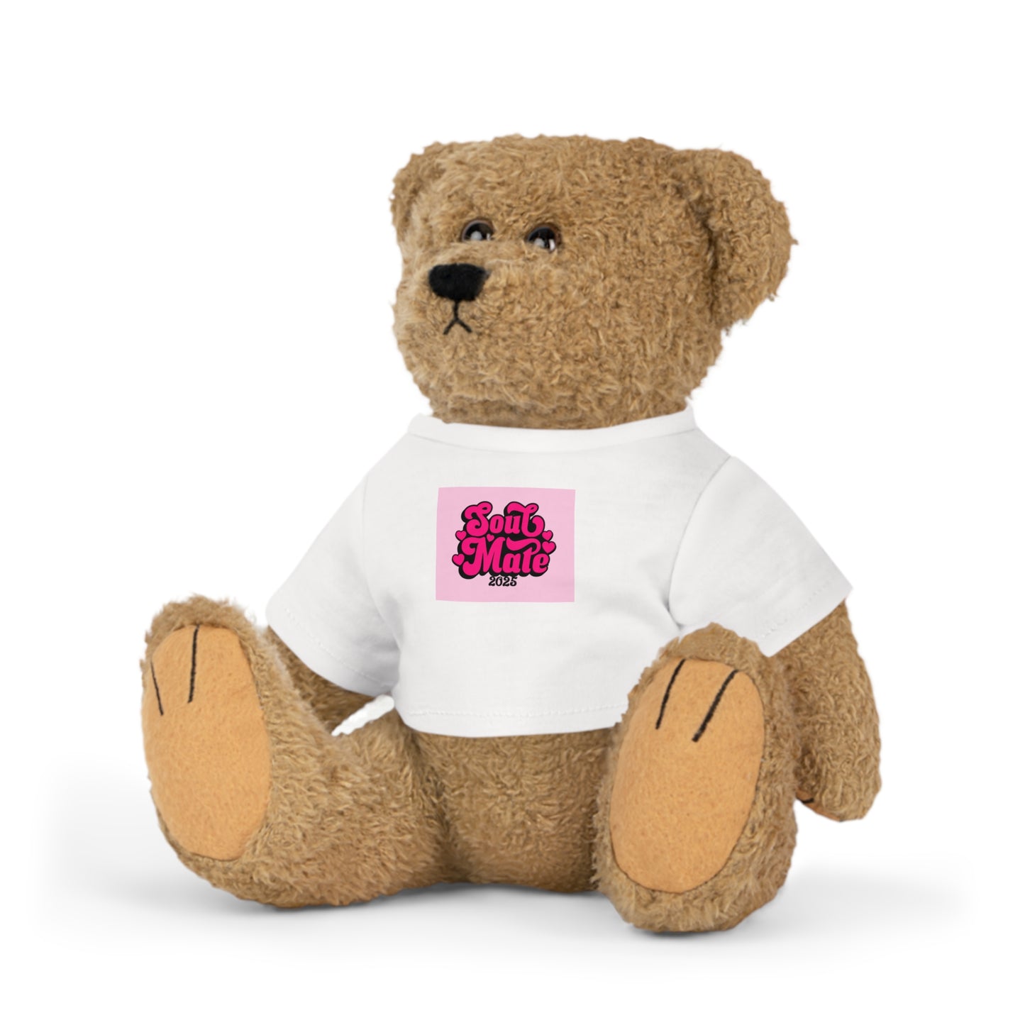 plush toy with t-shirt